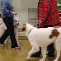 photograph by PeterW